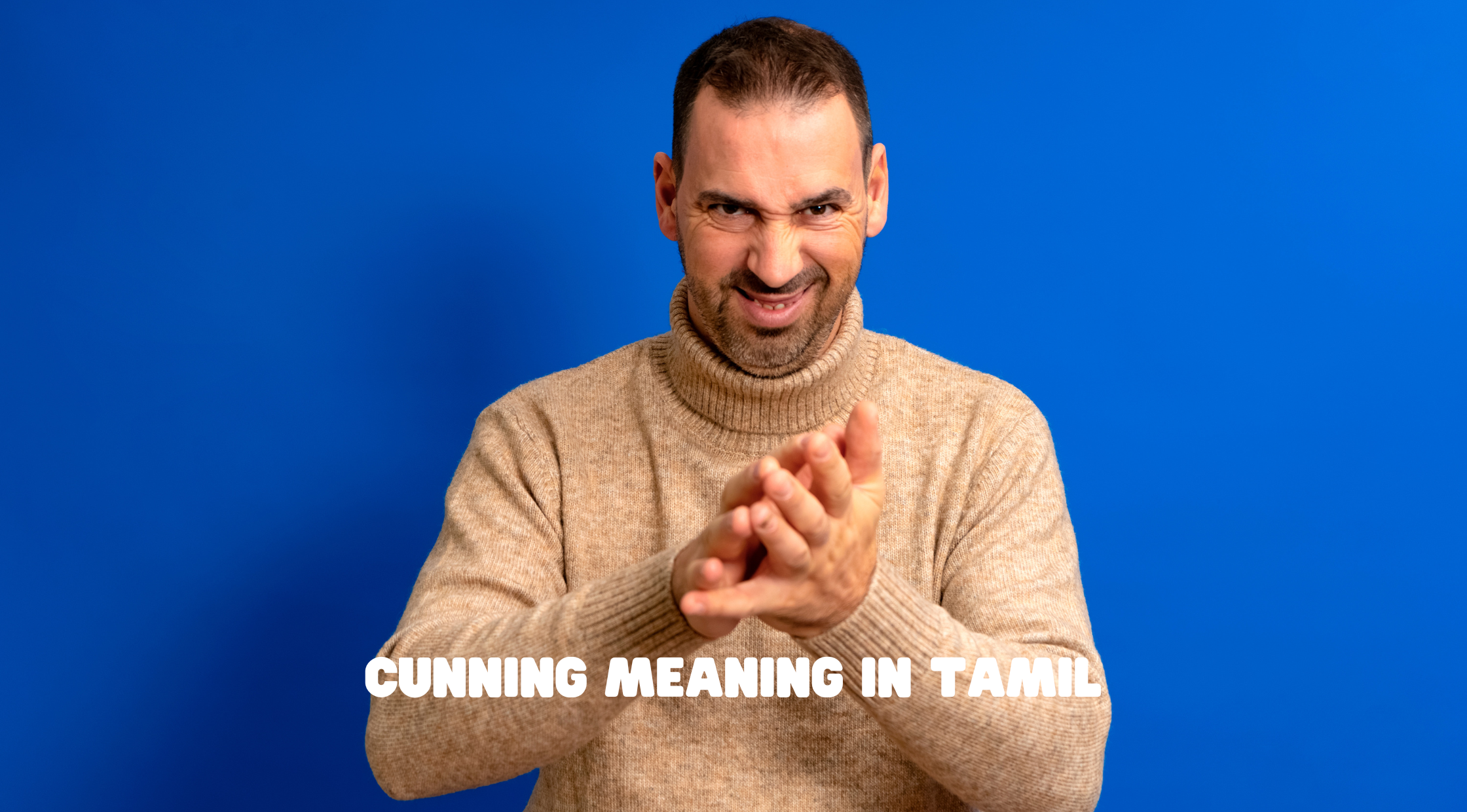 Cunning Meaning in Tamil